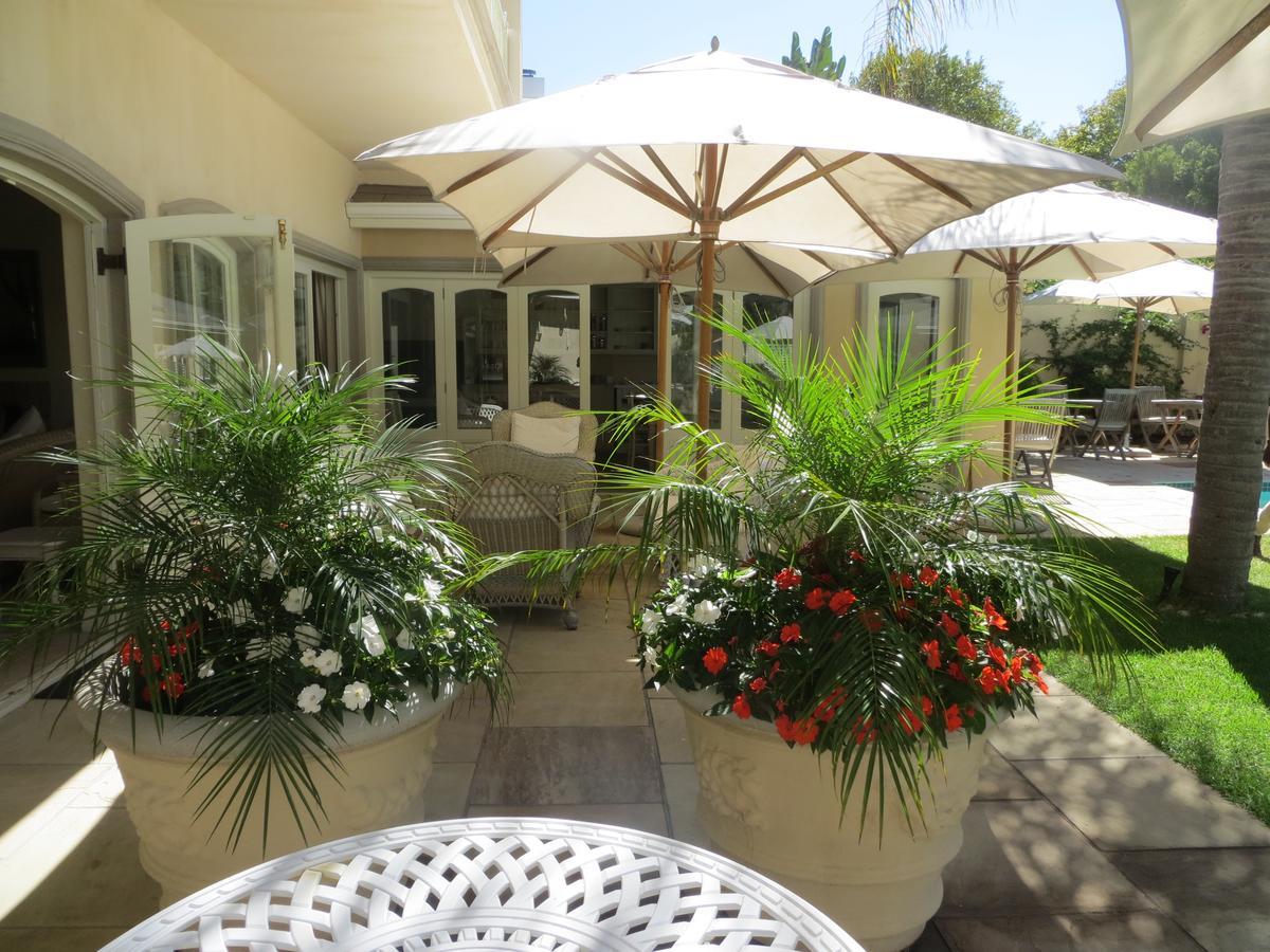 Constantia Valley Lodge Cape Town Ngoại thất bức ảnh