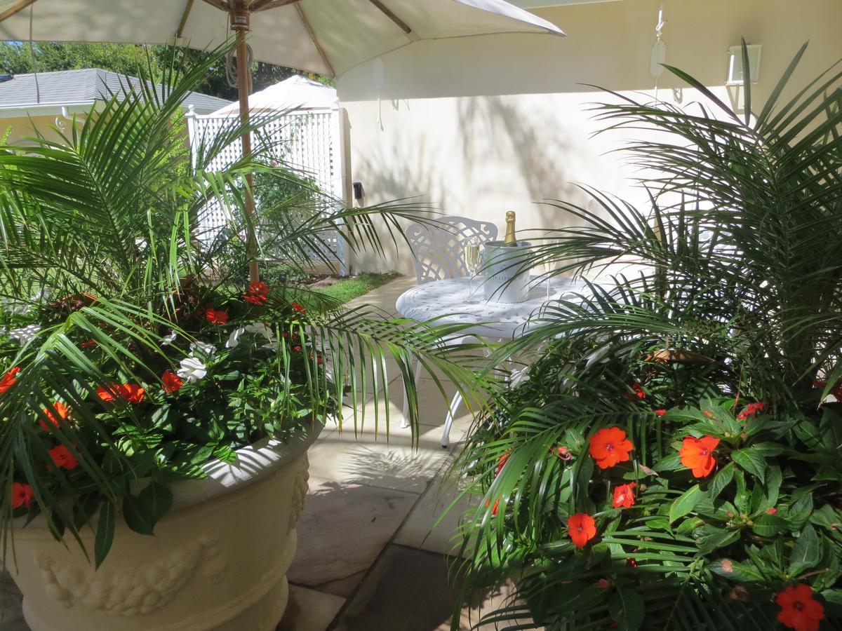 Constantia Valley Lodge Cape Town Ngoại thất bức ảnh